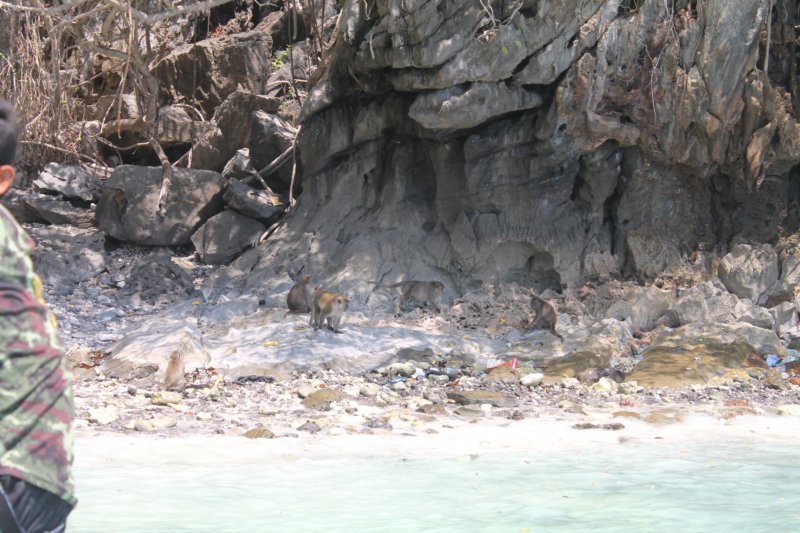 photo67.jpg