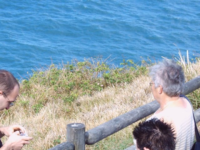 Photograph