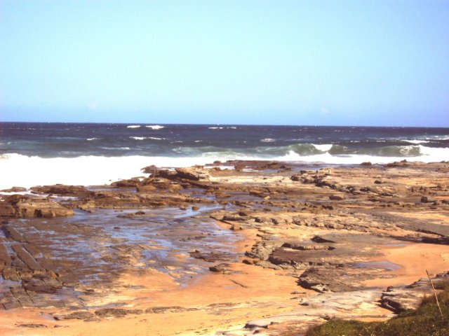 Photograph